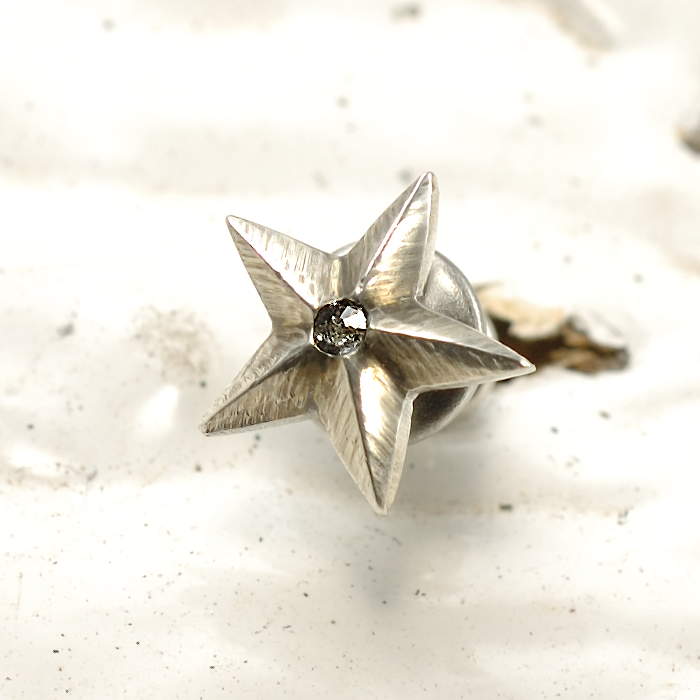 amp japan ピアス イアリング 8AH-174 Star pierced earing sv ALE&Co.,